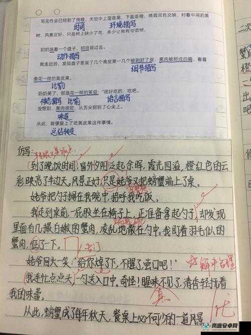 萌战无双细节攻略宝典：新手入门指南，把握成败关键点