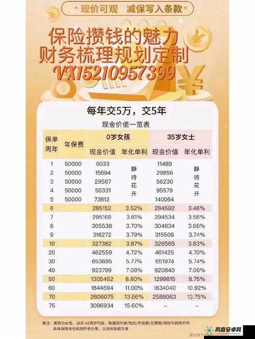 矿工排队技巧助力财富稳步增加攻略秘籍