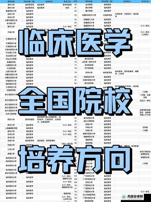 医生 11h 推荐：专业诊疗值得信赖