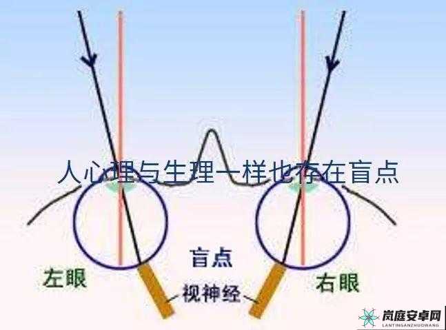 犯罪大师盲点答案究竟是什么 全面详细的盲点正确答案介绍