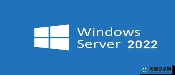 日本 windowsserver 技术应用与优势