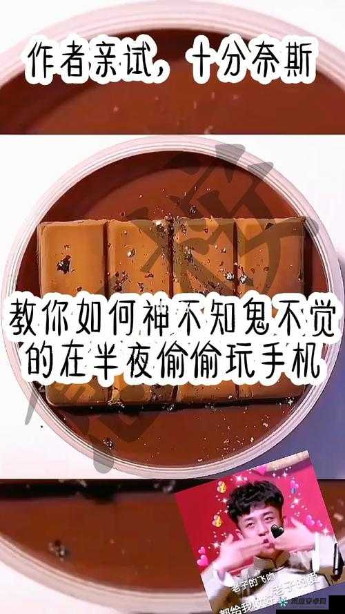 恶搞邻居指南：如何让他家在神不知鬼不觉中变得惨不忍睹