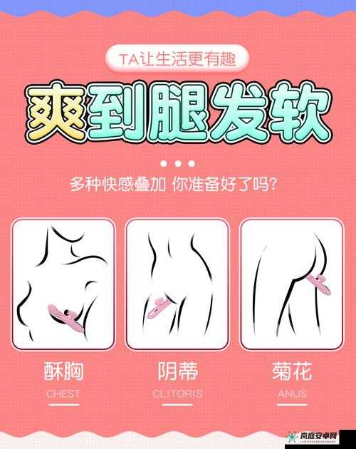 女性电动伸缩器具体用法说明