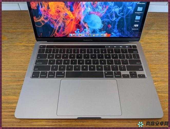 19 岁 macbookpro 欧美：青春与科技的碰撞