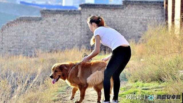 狗配人怎样配马配人呢图片：让人震惊的内容