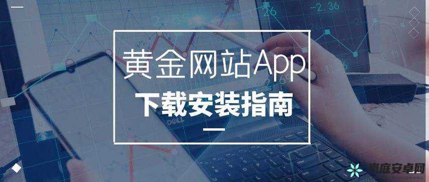 黄金网站APP在线观看：精彩内容等你来