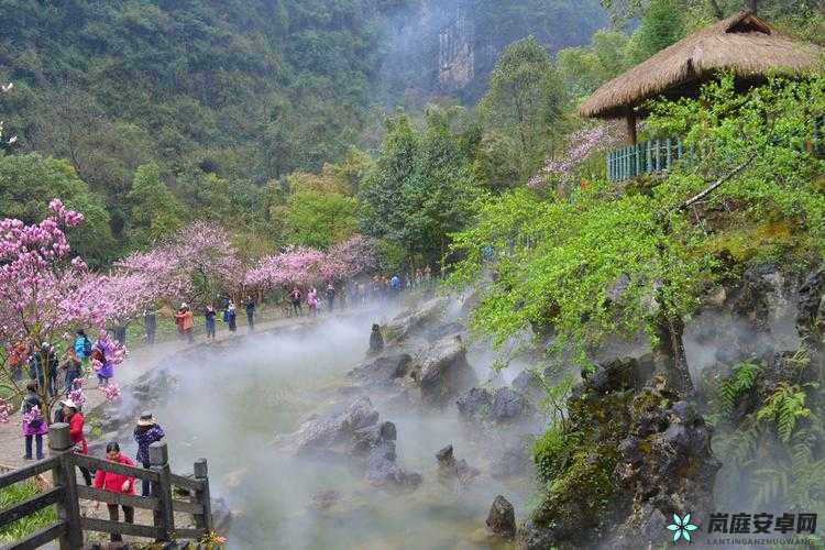 重游母亲桃花源：记忆深处的温暖之旅