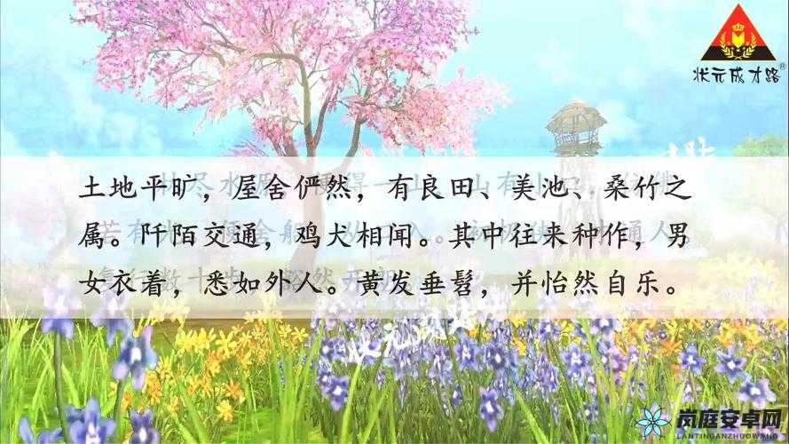 桃花源口水潺潺：探寻那未知的幽境