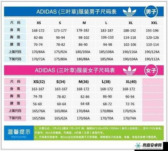 三叶草M码和亚洲码区别：特点与差异解析